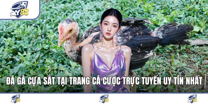 Đá Gà Cựa Sắt Tại Trang Cá Cược Trực Tuyến Uy Tín Nhất