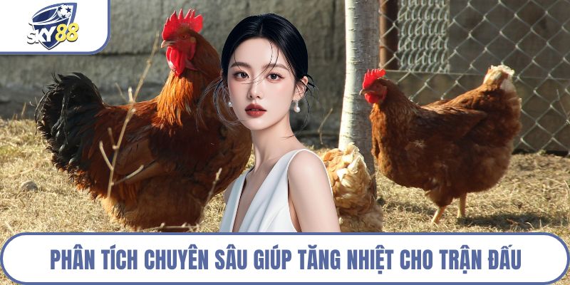 Phân tích chuyên sâu giúp tăng nhiệt cho trận đấu