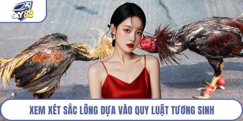 Xem xét sắc lông dựa vào quy luật tương sinh